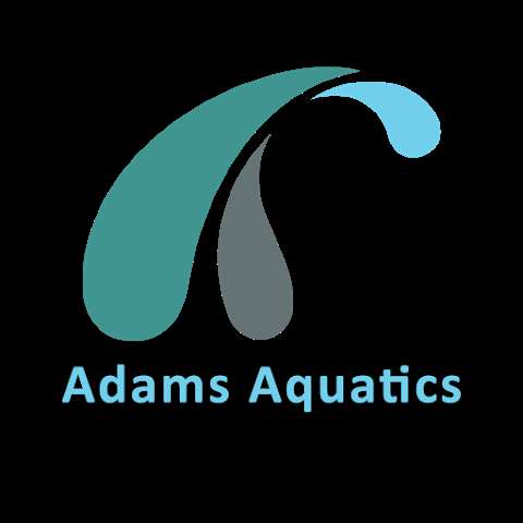 Adams Aquatics - Swimming lessons photo